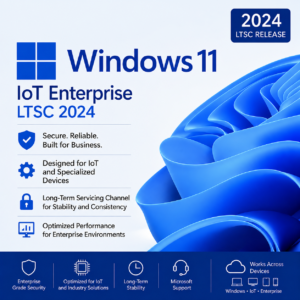 Windows 11 IOT Enterprise LTSC 2024 Online Activation